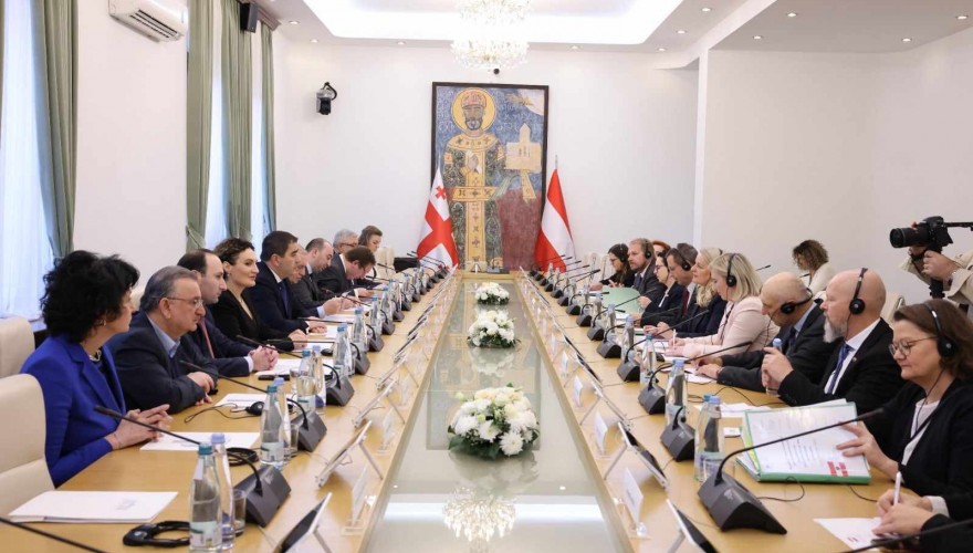შალვა პაპუაშვილი ავსტრიის რესპუბლიკის ფედერალური საბჭოს პრეზიდენტს შეხვდა