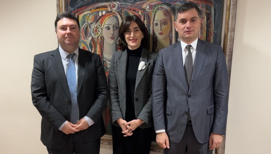 Bilateral meetings of Maka Botchorishvili in Brussels