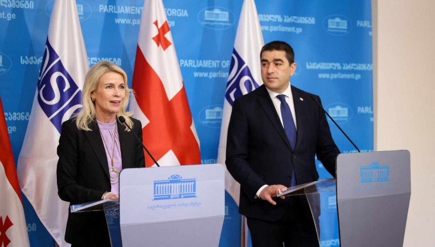 Shalva Papuashvili: at the meeting with the OSCE PA President, we deliberated on the developments in the region, the grave situation on the occupied territories and the significance of the EU candidate status