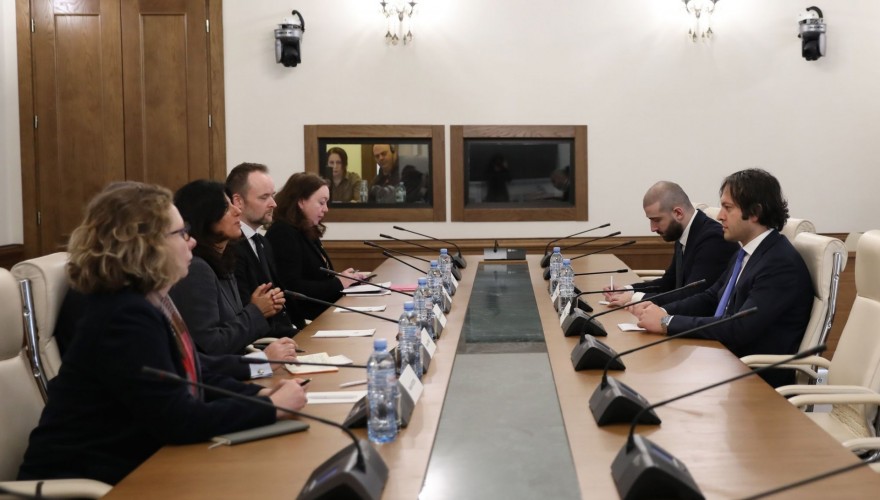Meeting of Irakli Kobakhidze with the Director/Secretary of the Venice Commission