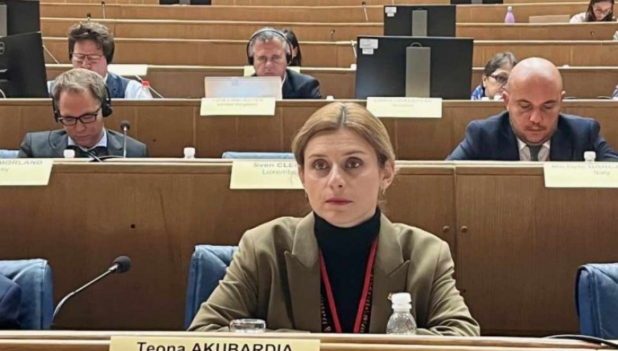 Teona Akubardia attended the NATO PA-organized Seminar
