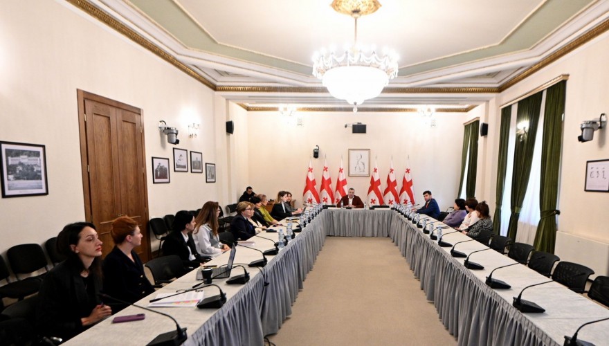 რატი იონათამიშვილი ჯანდაცვის სფეროს წარმომადგენლებს შეხვდა