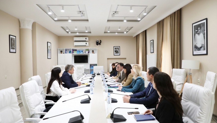 მაია ბითაძე და დავით სონღულაშვილი ენერგეტიკული გაერთიანების სამდივნოს დირექტორს შეხვდნენ