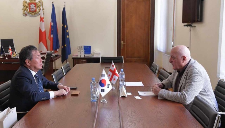 ავთანდილ ენუქიძე კორეის რესპუბლიკის საქმეთა დროებით რწმუნებულს შეხვდა