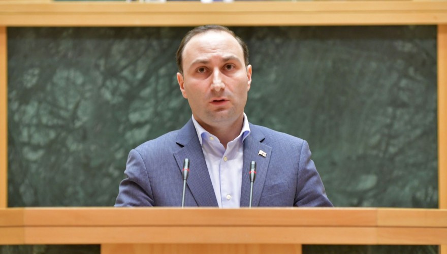Anri Okhanashvili: the report introduced by the Justice Minister was oriented to the future in all regards