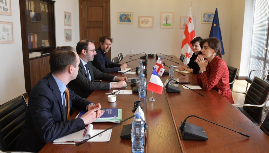 Meeting of Maka Botchorishvili with the representatives of the Ministry for Europe and Foreign Affairs of France