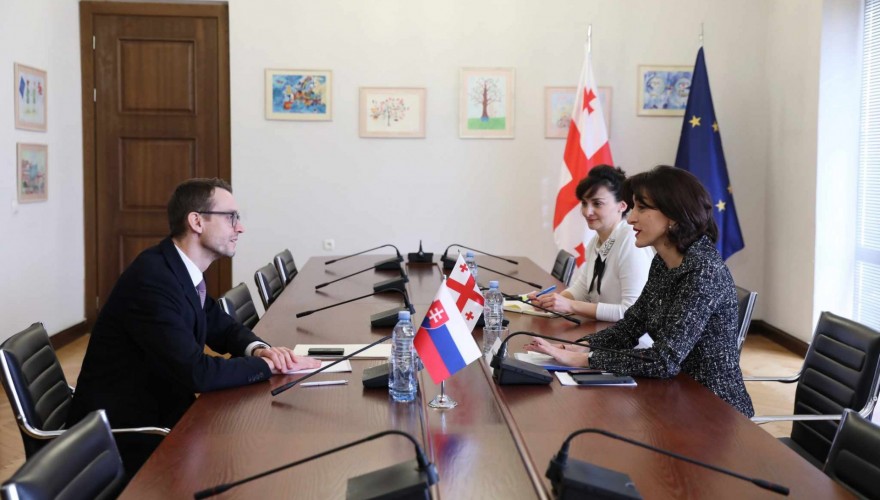 Meeting of Maka Botchorishvili with the Ambassador of Slovakia