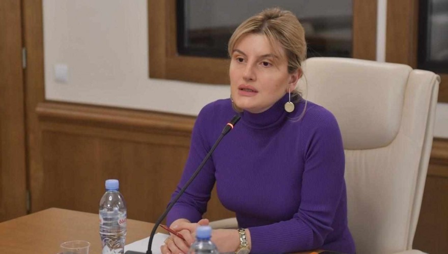 ბაია კვიციანი ბავშვის უფლებათა დაცვის მუდმივმოქმედ საპარლამენტო საბჭოს უხელმძღვანელებს