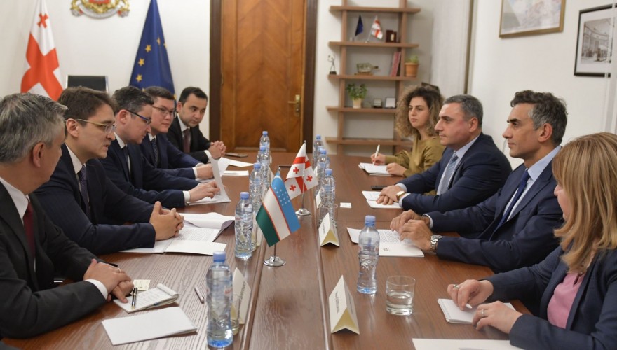 Meeting of Giorgi Kakhiani with Deputy Foreign Affairs Minister of Uzbekistan