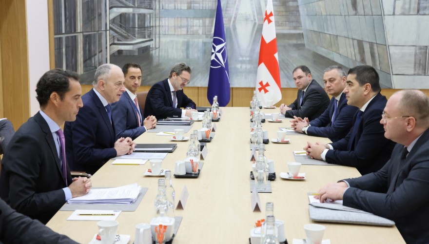 Meeting of Shalva Papuashvili with the NATO Deputy Secretary General