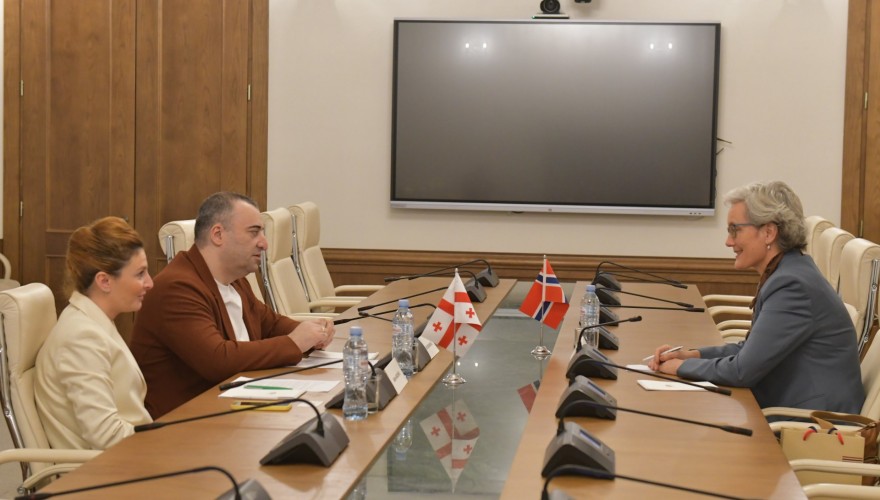 Meeting of Rati Ionatamishvili with the Ambassador of Norway