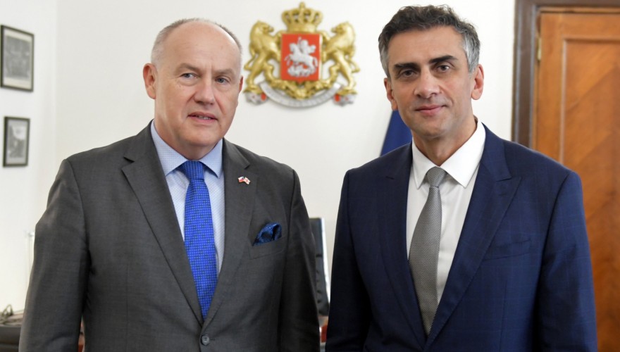 Meeting of Giorgi Kakhiani with Ambassador of the Czech Republic