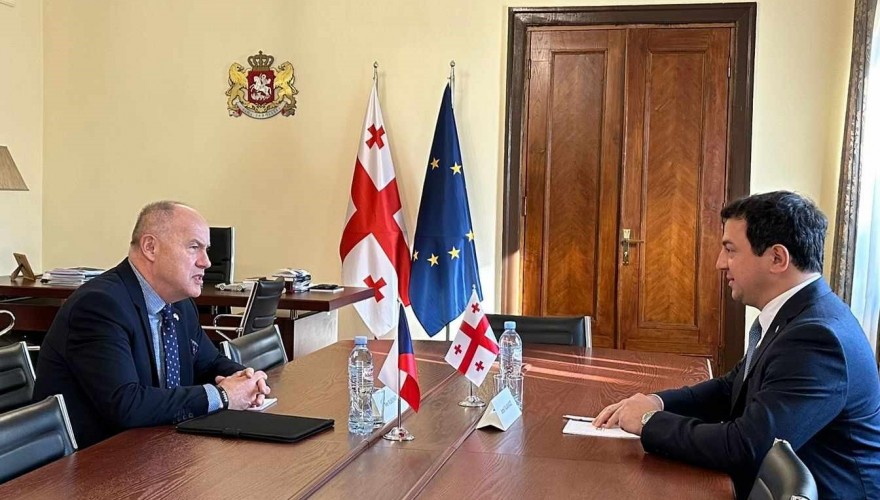 არჩილ თალაკვაძე საქართველოში ჩეხეთის რესპუბლიკის საგანგებო და სრულუფლებიან ელჩს პეტრ კუბერნატს შეხვდა