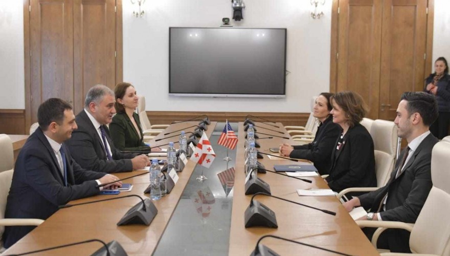მიხეილ სარჯველაძე ამერიკის შეერთებული შტატების ელჩს შეხვდა