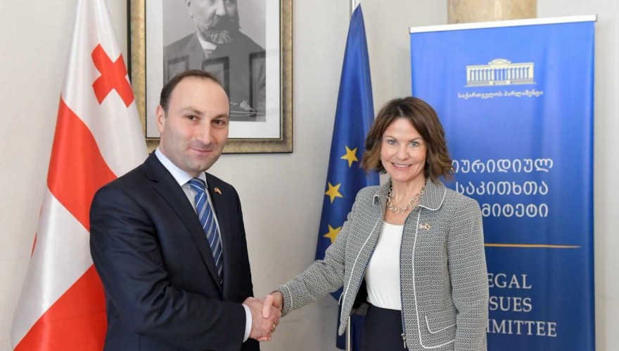 ანრი ოხანაშვილი ამერიკის შეერთებული შტატების ელჩს შეხვდა