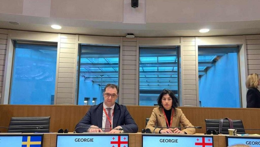 David Songulashvili attending the Interparliamentary Conference on Artificial Intelligence