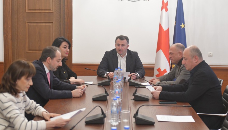 The Procedural Issues and Rules Committee approved the termination of the credentials of Irakli Kobakhidze and Irakli Chikovani ahead of time