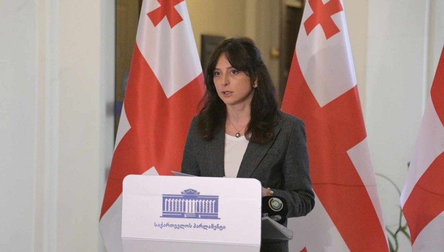 მაია ბითაძე “შინაურ ბინადარ ცხოველთა” შესახებ კანონპროექტზე - სიცრუის ტირჟირება და ადამიანების შეცდომაში შეყვანა მიზანმიმართულად ხორციელდება