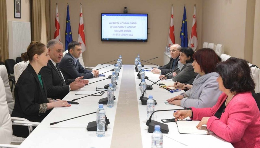 მიხეილ სარჯველაძე აღმოსავლეთ პარტნიორობის სამოქალაქო საზოგადოების ფორუმის საქართველოს ეროვნული პლატფორმის წარმომადგენლებს შეხვდა