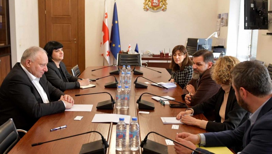 Meeting of Paata Kvizhinadze with Representatives of USAID