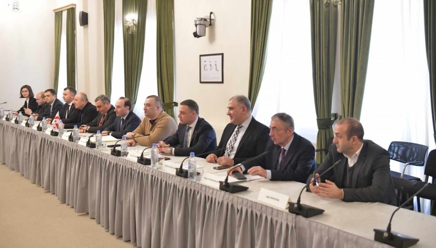 ანრი ოხანაშვილი და იურიდიულ საკითხთა კომიტეტის წევრები გერმანელ კოლეგებს შეხვდნენ