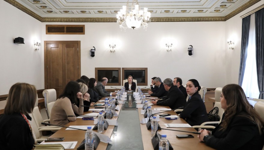 Meeting of Mariam Lashkhi and Irakli Shatakishvili with Representatives of Private Sector within Thematic Inquiry