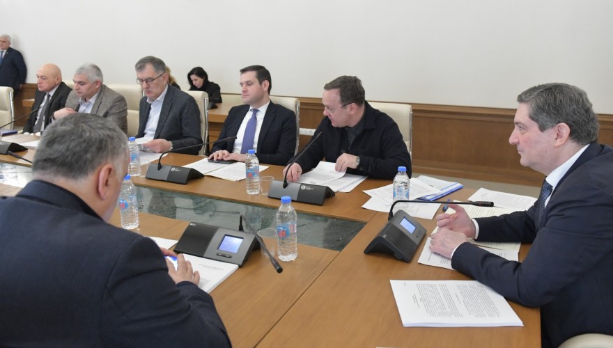 აგრარულ საკითხთა კომიტეტის თავმჯდომარის პირველ მოადგილედ ირაკლი (დაჩი) ბერაია აირჩიეს