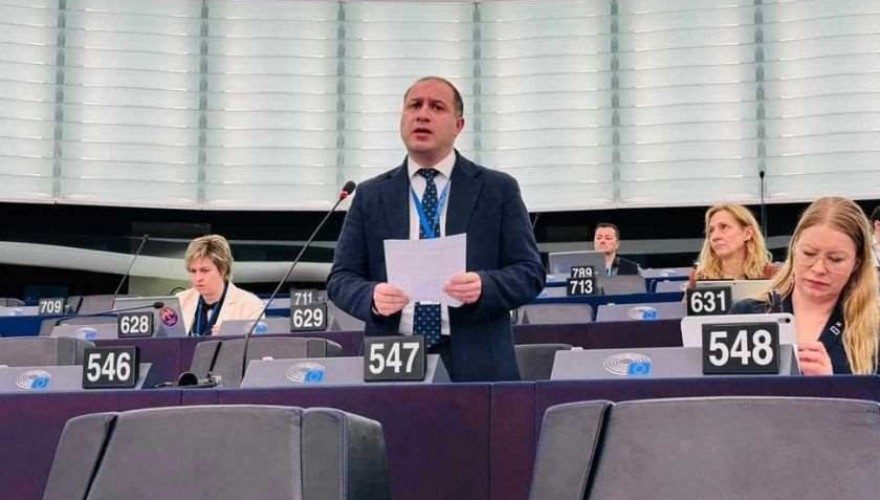 Givi Mikanadze and Levan Bezhashvili partaking in the sitting of the PACE Committee on Legal Affairs and Human Right