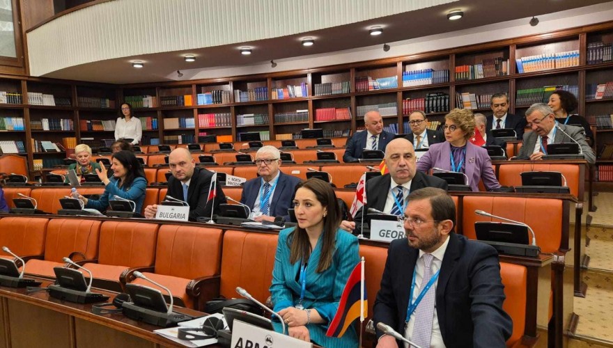 Ramaz Nikolaishvili Participating in Session of PABSEC Committee on Culture, Education, and Social Affairs