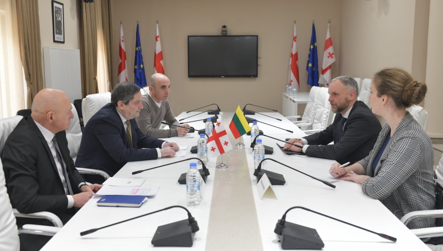 გელა სამხარაული ლიეტუვის ელჩს შეხვდა
