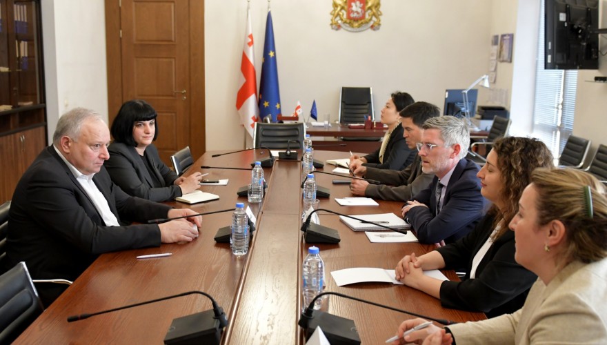 Meeting of Paata Kvizhinadze with Representatives of International Monetary Fund (IMF) Mission