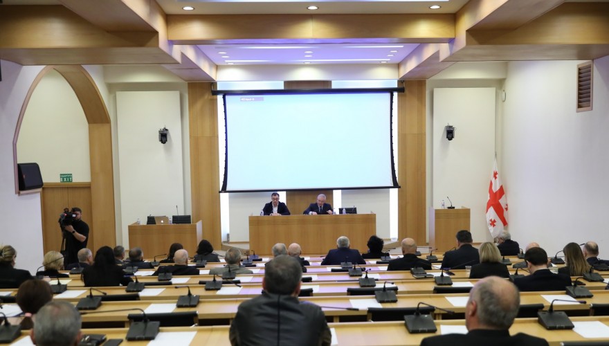 The Committees at the joint sitting heard the State Minister for Reconciliation and Civic Equality, Tea Akhvlediani