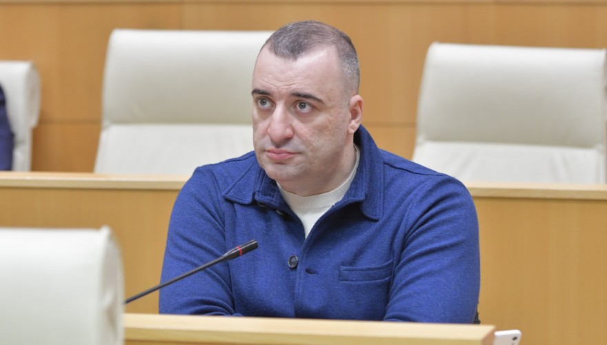 ადამიანის უფლებათა დაცვისა და სამოქალაქო ინტეგრაციის კომიტეტის თავმჯდომარედ რატი იონათამიშვილი აირჩიეს