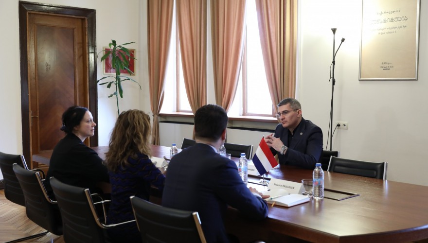 Meeting of Mamuka Mdinaradze with the Dutch Ambassador