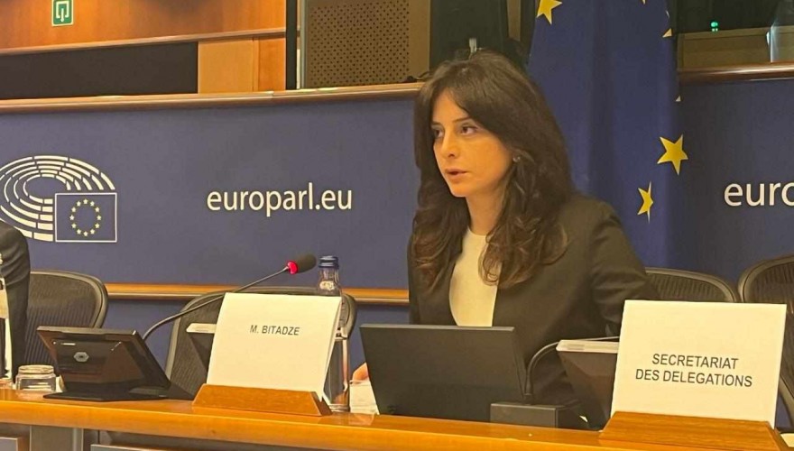 Maia Bitadze partaking in the sitting of the Committee on Energy Security within the EuroNest PA
