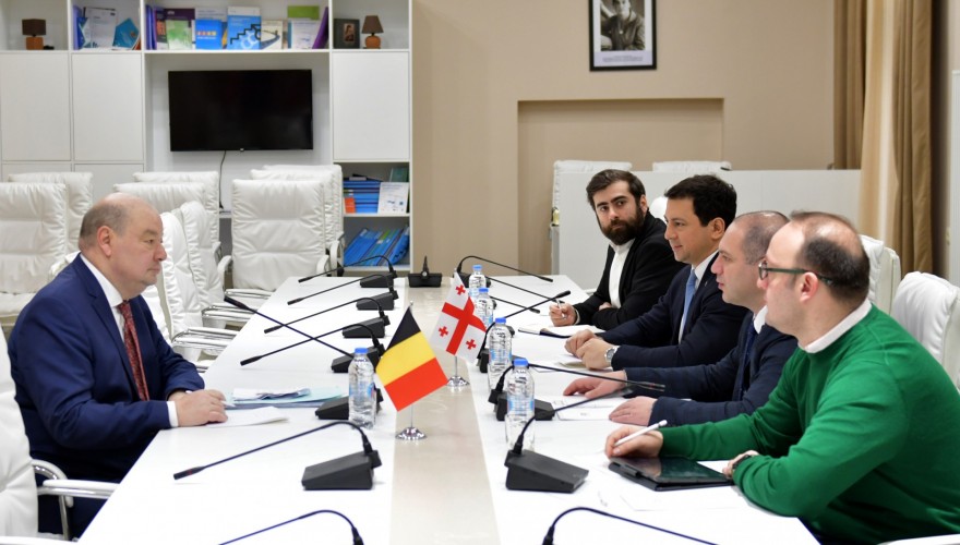 გივი მიქანაძე და არჩილ თალაკვაძე ბელგიის ელჩს შეხვდნენ