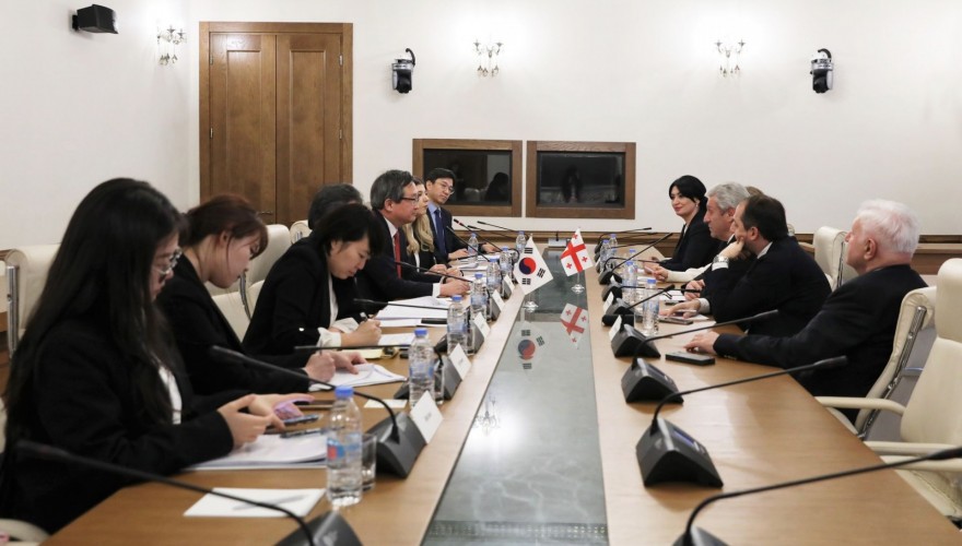 Meeting of Shota Khabareli with Deputy Minister of Foreign Affairs of Korea
