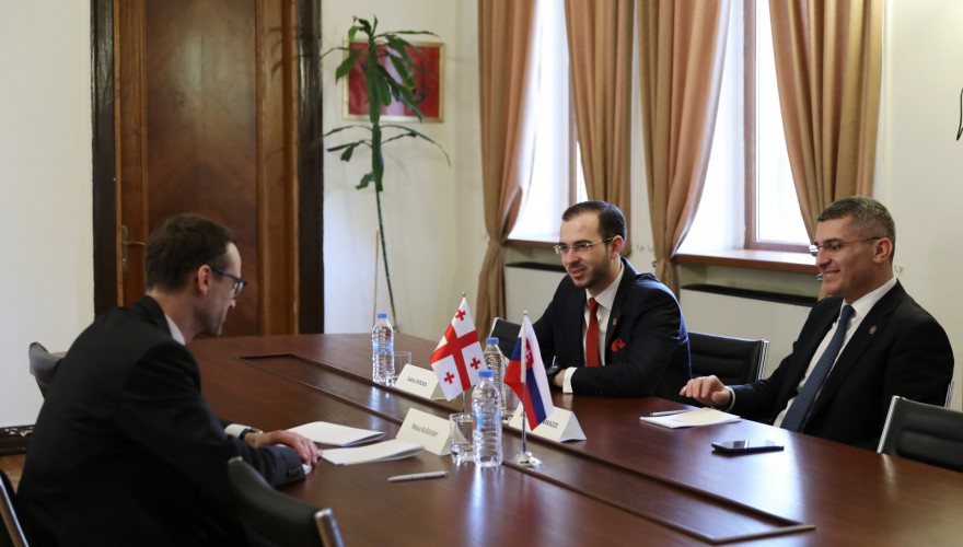 Meeting of Mamuka Mdinaradze with the Ambassador of Slovakia