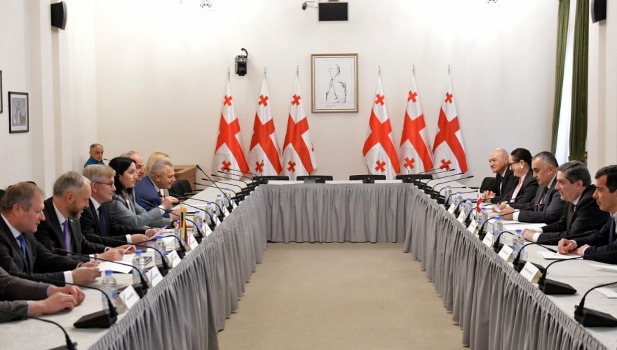 Meeting of Gela Samkharauli with the members of the Committee on Rural Affairs of the Seimas of Lithuania
