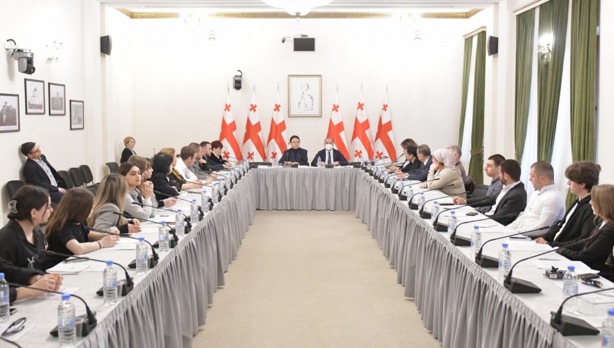 Meeting of Givi Mikanadze and Rima Beradze with the civil sector