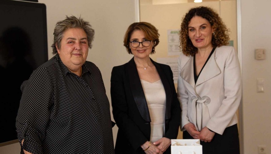 ელისო ბოლქვაძე ავსტრიის პარლამენტის კულტურის კომიტეტის თავმჯდომარეს შეხვდა