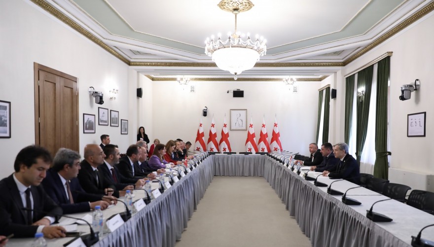 Meeting of Aleksandre Tabatadze with the Delegation of the National Defense Committee of the Grand National Assembly (Parliament) of the Republic of Turkey
