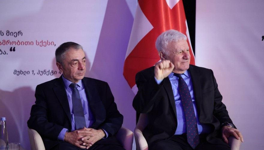 Fridon Injia: It would be beneficial to develop a textbook on "Georgian values" to be included in the school curriculum