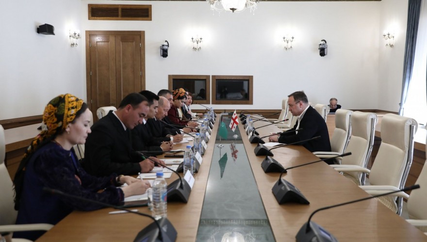 Meeting of Giorgi Tsagareishvili with Parliamentary Delegation of Turkmenistan