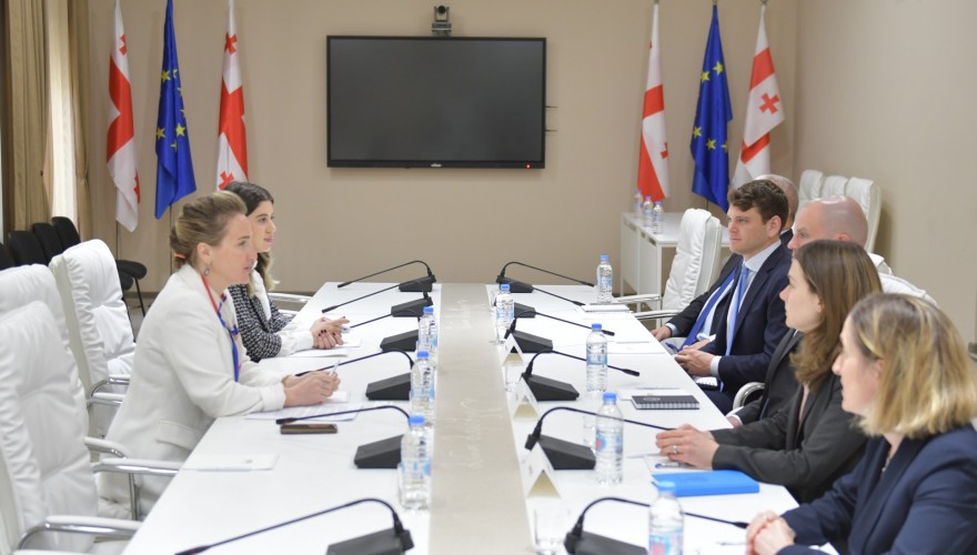 Meeting of Mariam Lashkhi with the Staff Director of the Subcommittee on the Department of State and Foreign Operations at U.S. Senate Committee on Appropriations
