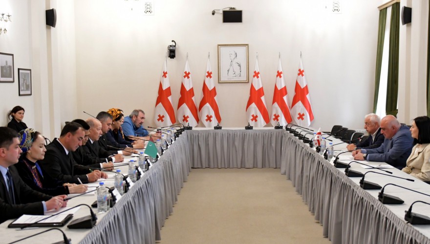 ირაკლი მეძმარიაშვილი თურქმენეთის საპარლამენტო დელეგაციას შეხვდა