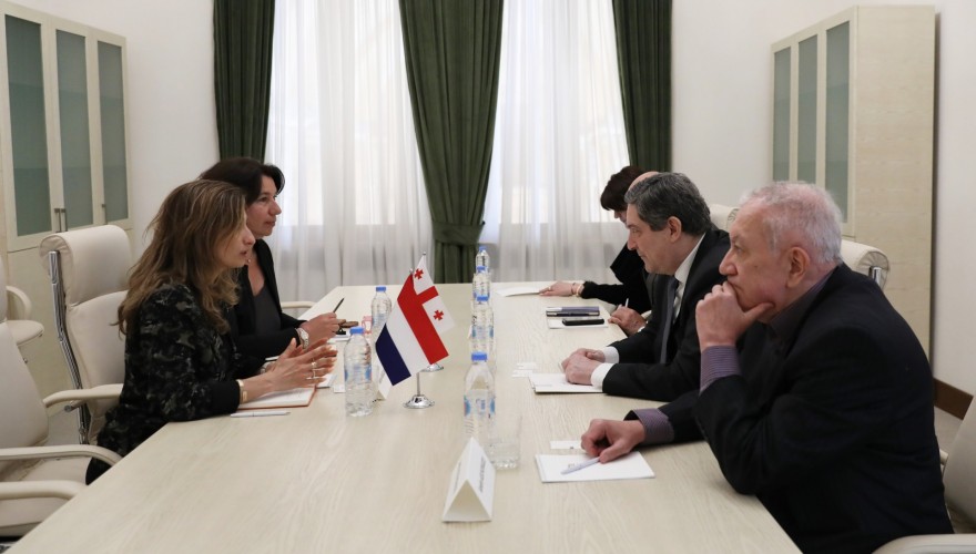 გელა სამხარაული ნიდერლანდების სამეფოს საგანგებო და სრულუფლებიან ელჩს შეხვდა
