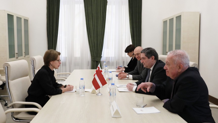 Meeting of Gela Samkharauli with the Ambassador of Latvia