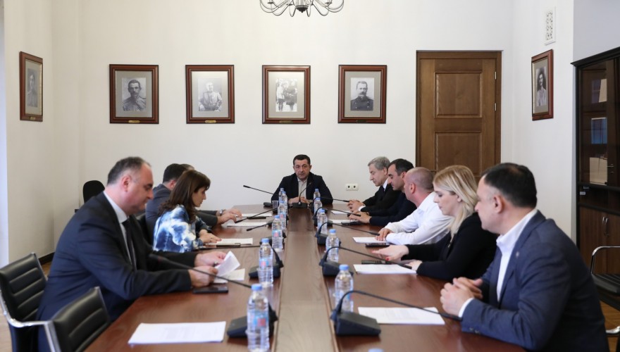 Tengiz Sharmanashvili elected as the First Deputy Chair of the Defense and Security Committee