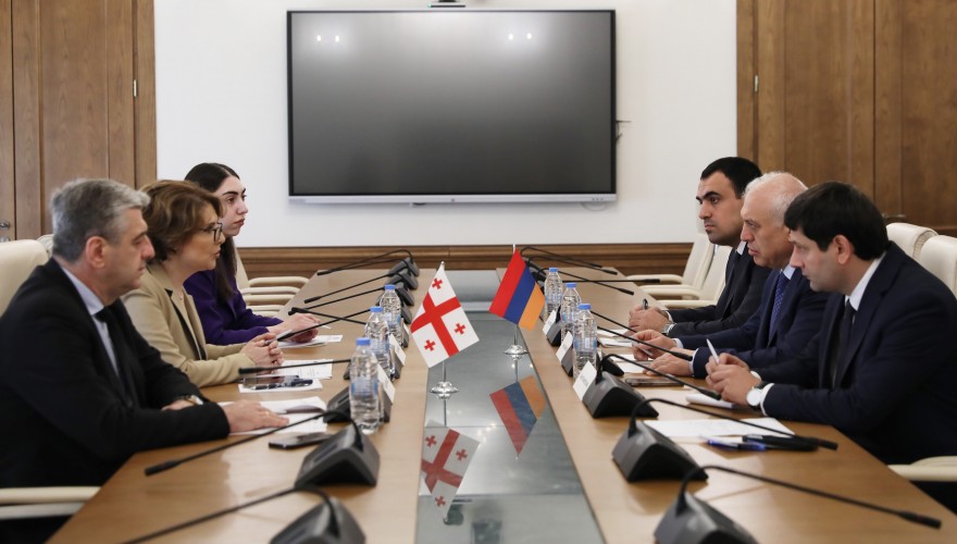 ელისო ბოლქვაძე სომხეთის რესპუბლიკის ელჩს შეხვდა